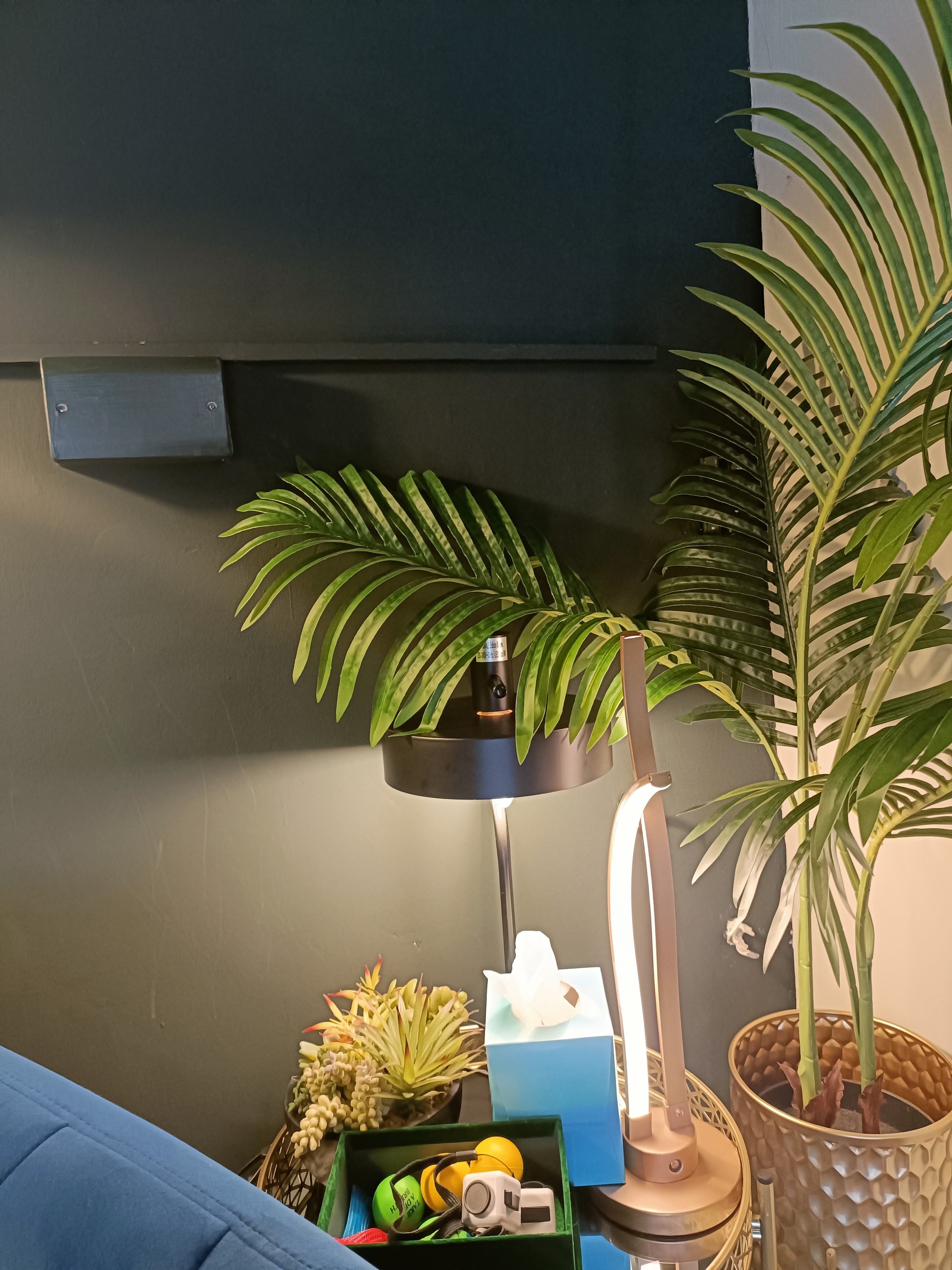 A warm therapy room corner with plants, a lamp, and fidget tools — creating a safe, calming space